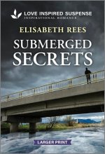 Submerged Secrets