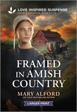 Framed in Amish Country