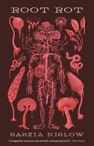 Root Rot