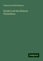 Stambul und das Moderne Türkenthum