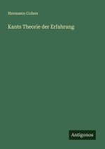 Kants Theorie der Erfahrung