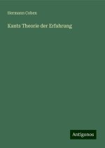 Kants Theorie der Erfahrung