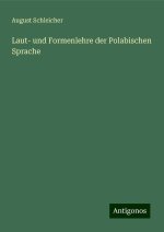 Laut- und Formenlehre der Polabischen Sprache