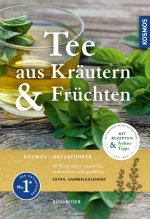 Tee aus Kräutern und Früchten