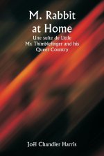 M. Rabbit at Home  Une suite de Little Mr. Thimblefinger and his  Queer Country