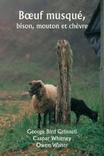 B?uf musqué,  bison, mouton et ch?vre
