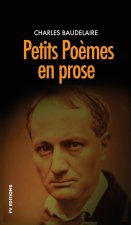 Petits po?mes en prose