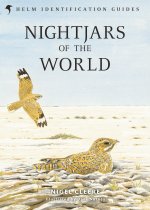 Nightjars of the World