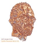INTRIOSPECTION