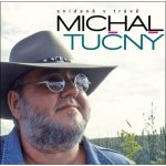 Michal Tučný: Snídaně v trávě LP