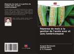 Réponse du maïs à la gestion de l'azote avec et sans lombricompost