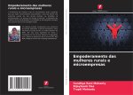 Empoderamento das mulheres rurais e microempresas
