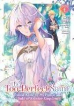 TOO PERFECT SAINT TOSSED ASIDE BY MY V01