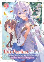 TOO PERFECT SAINT TOSSED ASIDE BY MY V02