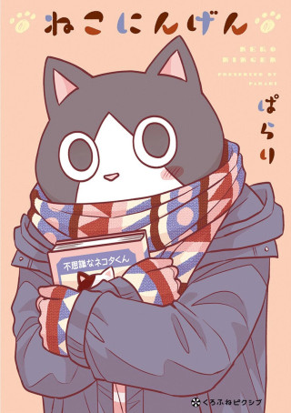 CAT MAN