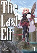 LAST ELF V01