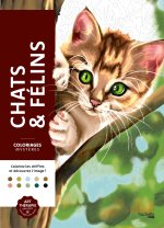 Coloriages mystères - Chats et félins NED