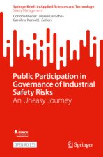 Public Participation in Governance of Industrial Safety Risks