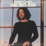 Vibe Provider