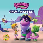 Barney: 8x8 #1