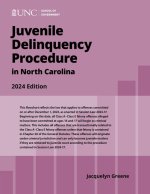 Juvenile Delinquency Procedure in North Carolina