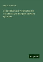 Compendium der vergleichenden Grammatik der indogermanischen Sprachen