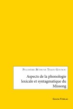 Aspects de la phonologie lexicale et syntagmatique du Missong