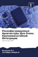 Rekonfiguriruemye Arhitektury Dlq Ochen' Krupnomasshtabnoj Integracii