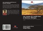 Les causes du conflit Geri et Borena, Éthiopie