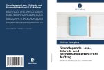 Grundlegende Lese-, Schreib- und Rechenfähigkeiten (FLN) Auftrag