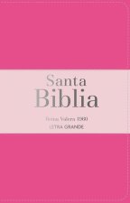Biblia Rvr 1960 Letra Grande Tama?o Manual Tricolor Rosa Oscuro Rosa Claro Con Cierre E Índice (Bible Rvr 1960 Large Print Handsize Leatherlike Tricol