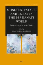 Mongols, Tatars, and Turks in the Persianate World