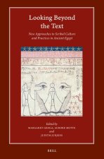 Looking Beyond the Text
