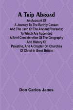 A Trip Abroad An Account of a Journey to the Earthly Canaan and the Land of the Ancient Pharaohs; To Which Are Appended a Brief Consideration of the G