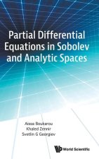 Partial Diffrential Equations in Sobolev and Analytic Spaces