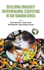 Developing University Entrepreneurial Ecosystems in Sub-Saharan Africa