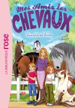 Mes amis les chevaux 48