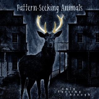 Pattern-Seeking Animals: Only Passing Through Lld.