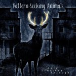 Pattern-Seeking Animals: Only Passing Through Lld.