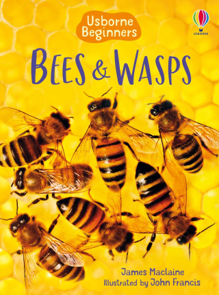 BEES & WASPS