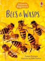 BEES & WASPS