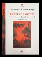 HISTOIRE DE L'ISLAM POLITIQUE  - LA CRISE CONSTITUTIONNELLE DE LA CIVILISATION ISLAMIQUE DEPUIS LA GRANDE DISCORDE JUSQU'AU PRINTEMPS ARABE
