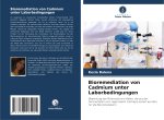 Bioremediation von Cadmium unter Laborbedingungen