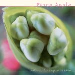 APPLE, FIONA  EXTRAORDINARY MACHINE -HQ-