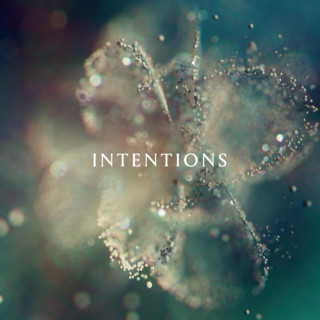 ANNA  INTENTIONS