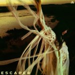 KINSLEY SARAH  ESCAPER
