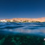 LUFT, ROB  DAHAB DAYS