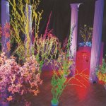 HUSKER DU  WAREHOUSE: SONGS AND S.
