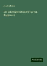Der Schwiegersohn der Frau von Roggeveen