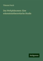 Das Weltphänomen: Eine erkenntnistheoretische Studie